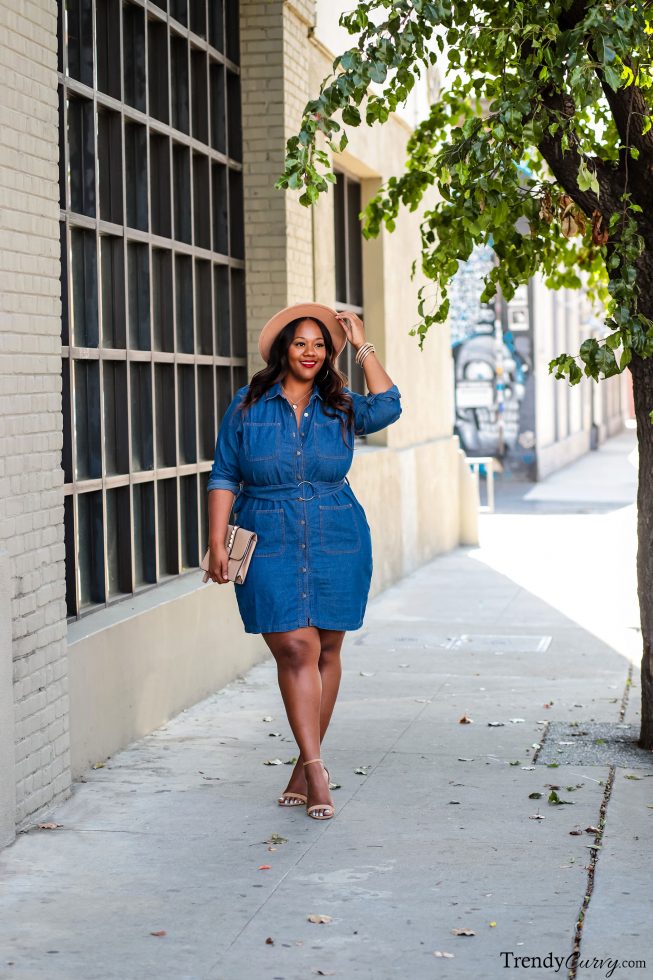 Spring Denim Dresses, Trend Alert