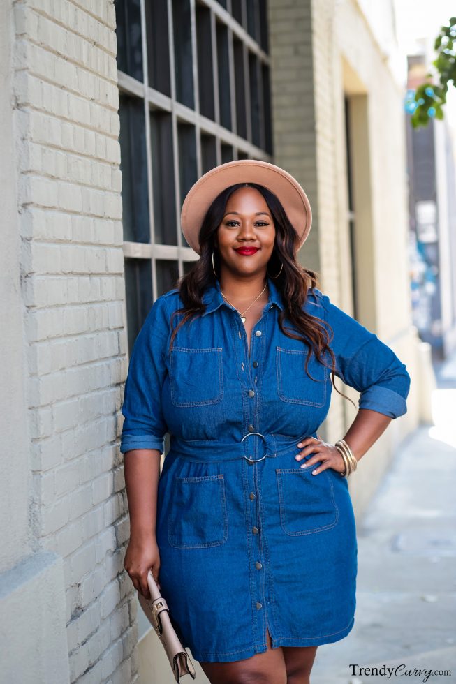 Curvy 2025 denim dress